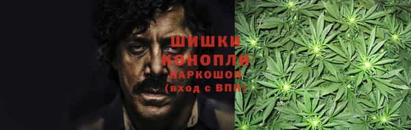 дживик Аркадак