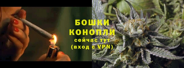 МДПВ Нея