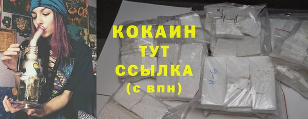 дживик Аркадак